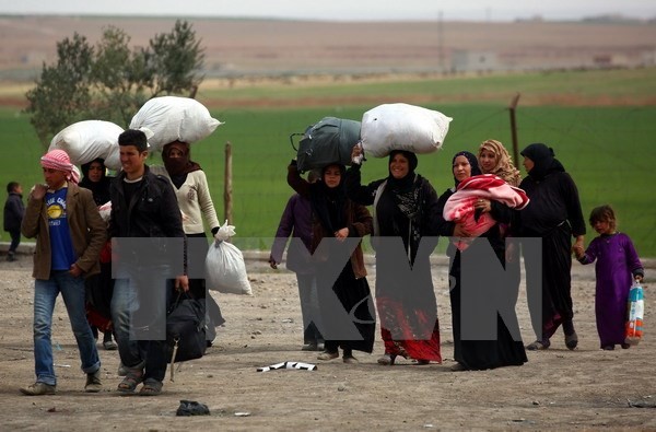 Donors pledge $6 billion for Syria  - ảnh 1